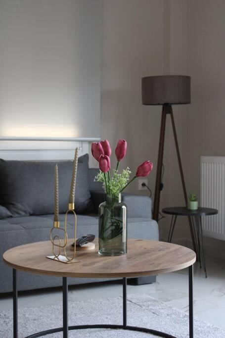 K&M 40 Ekklision A' Apartman Dráma Kültér fotó